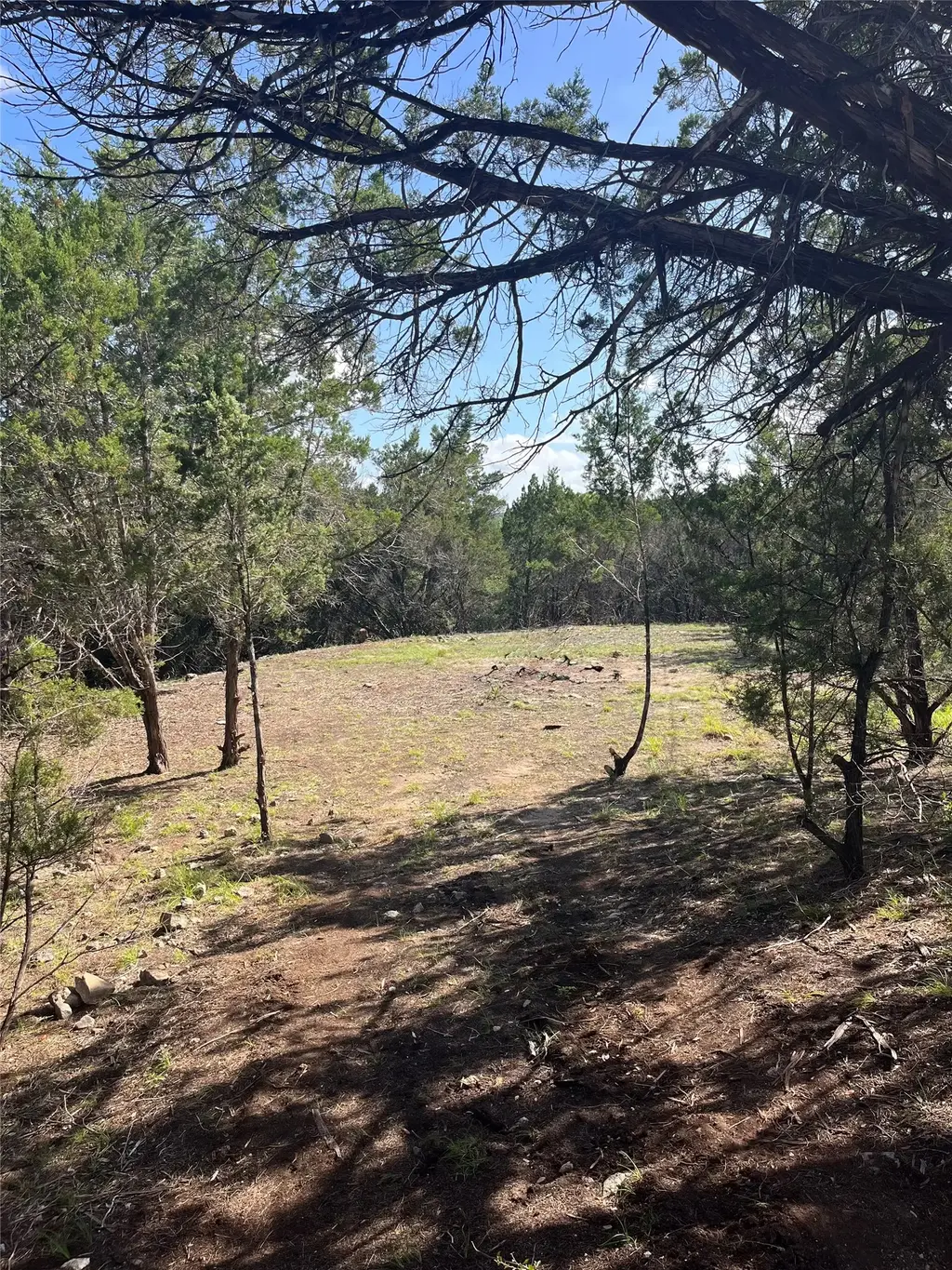 753 Appaloosa Drive, Fischer