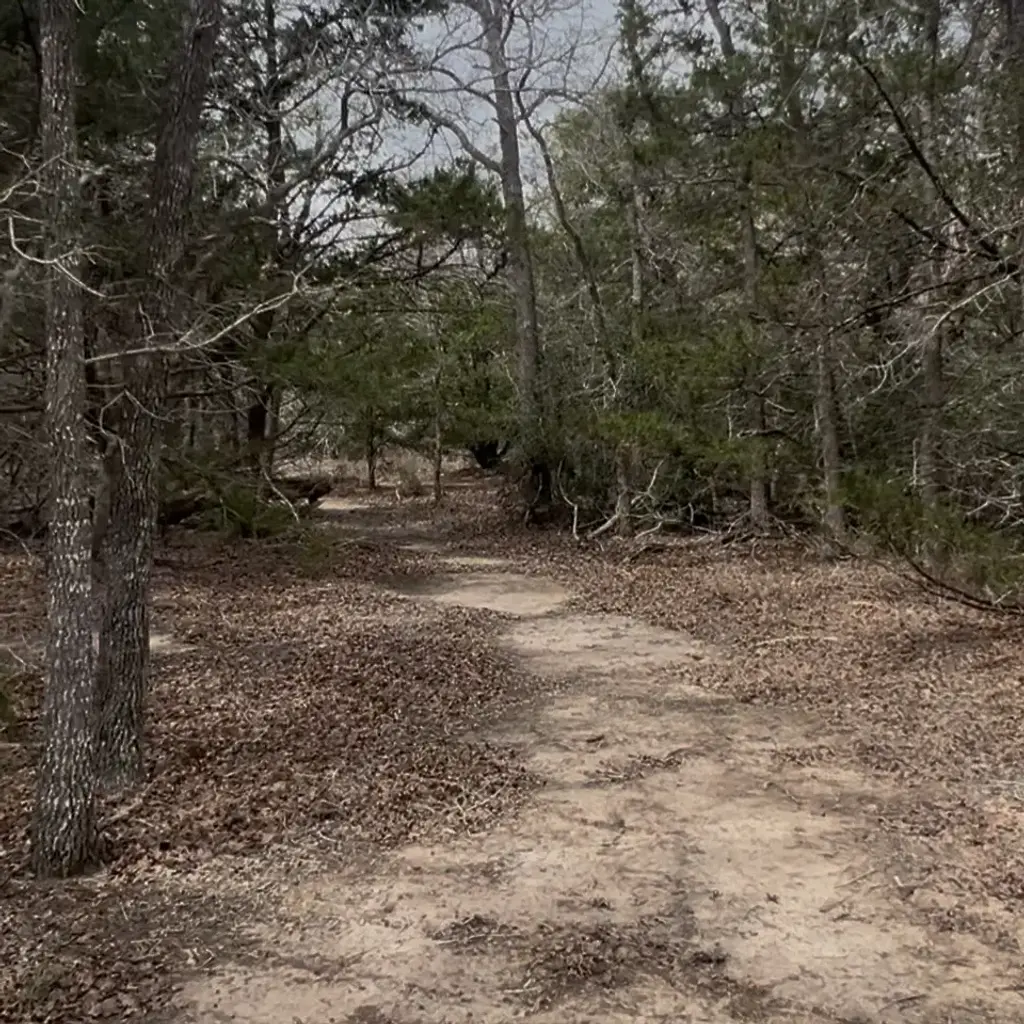 Lot 10 South Old Potato Road, Paige