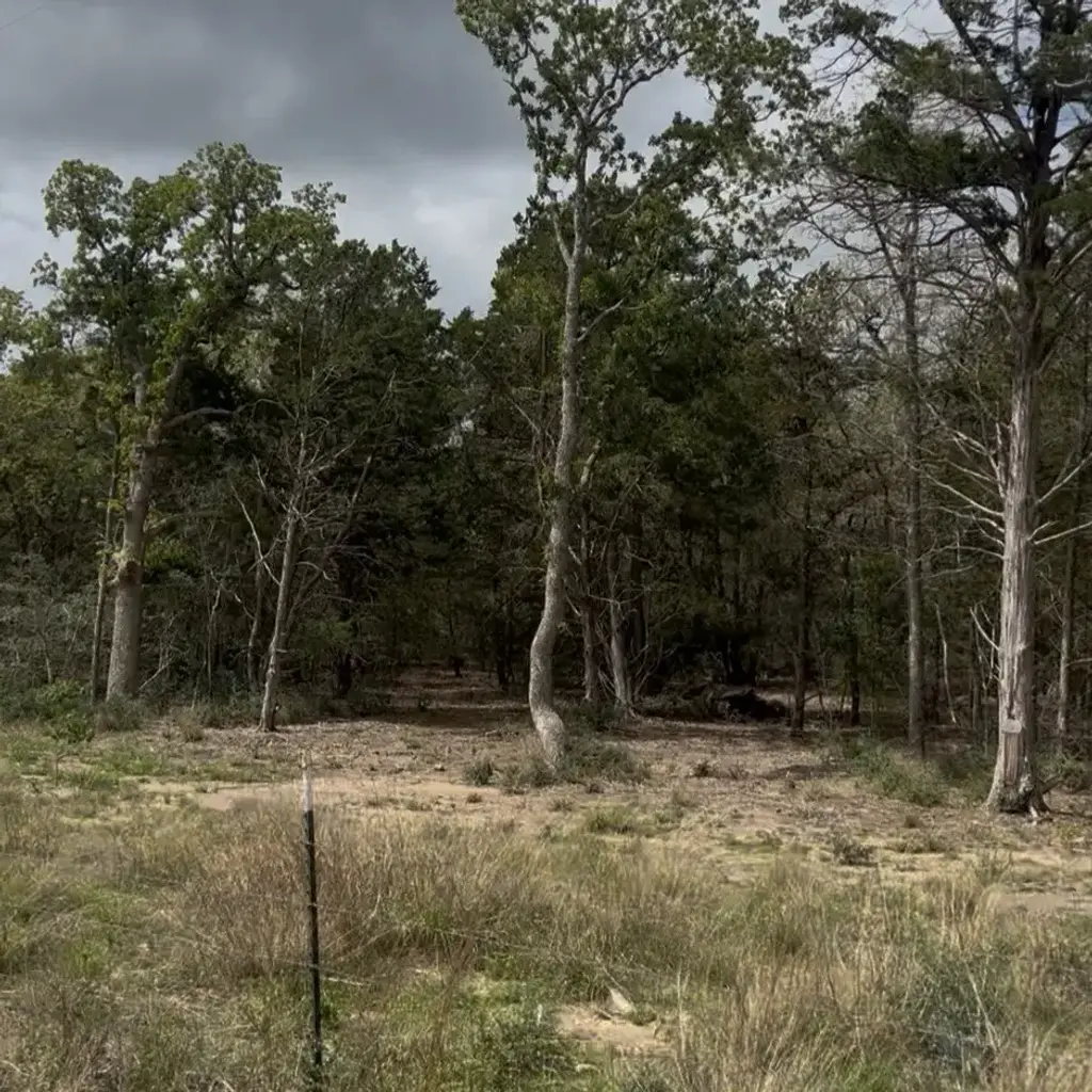 Lot 15 Antioch Road, Paige