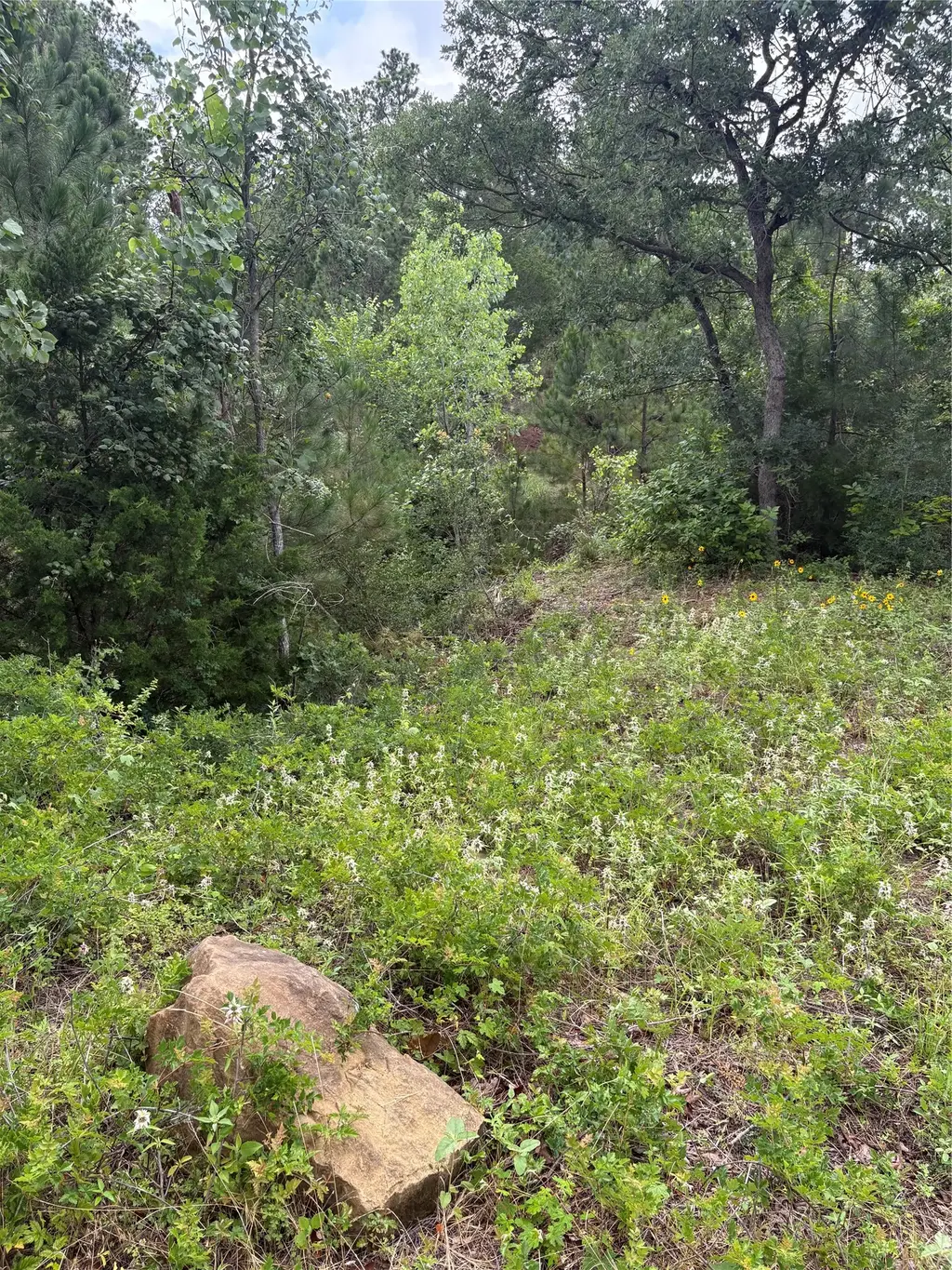 Tbd Kaena Lane, Bastrop