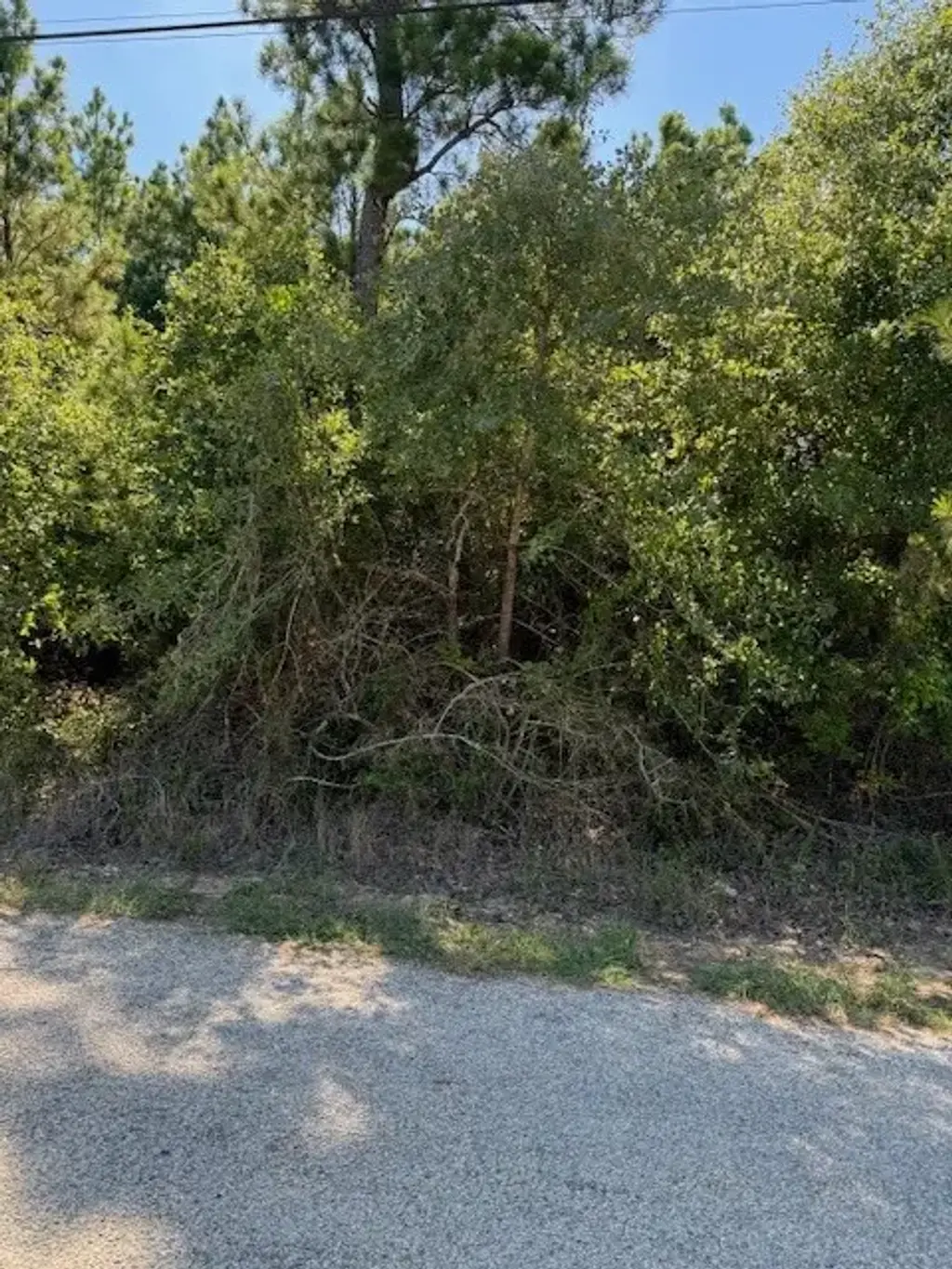 Lot 1355 N Kaupo Drive, Bastrop
