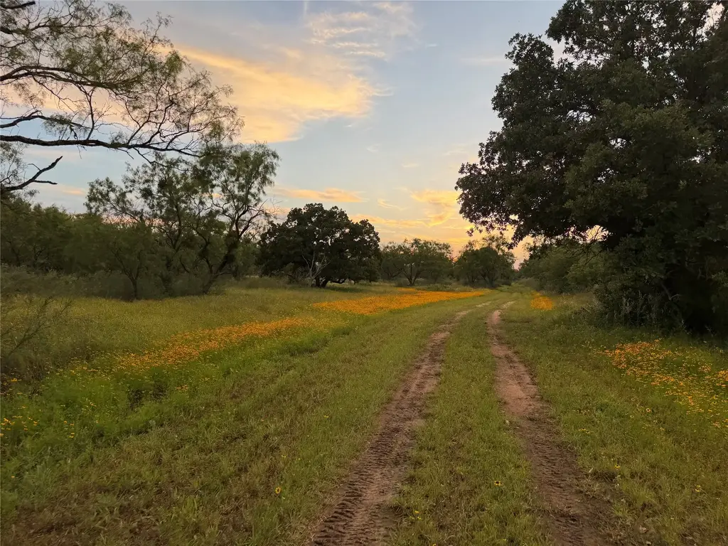 Tbd Fm 1980 Tract 1, Marble Falls