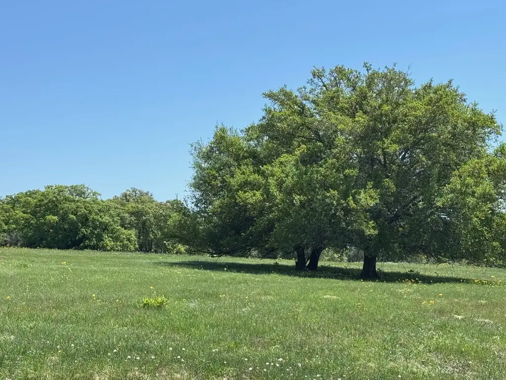 3817 Fm 154 Road, Muldoon
