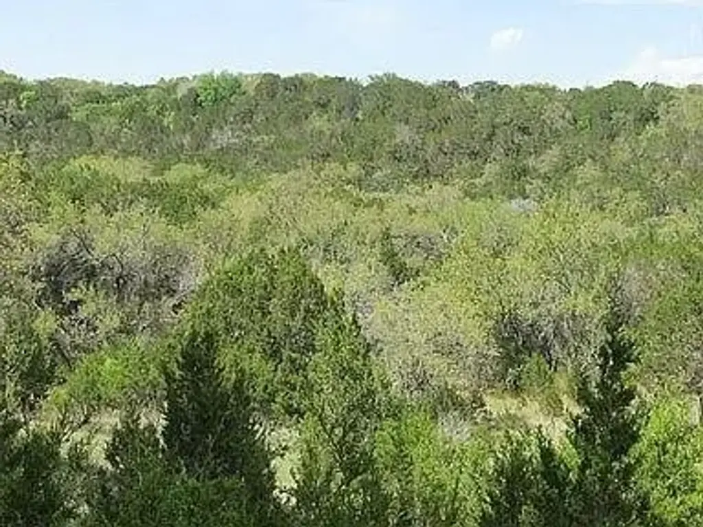 350 Bluff Road, Spicewood