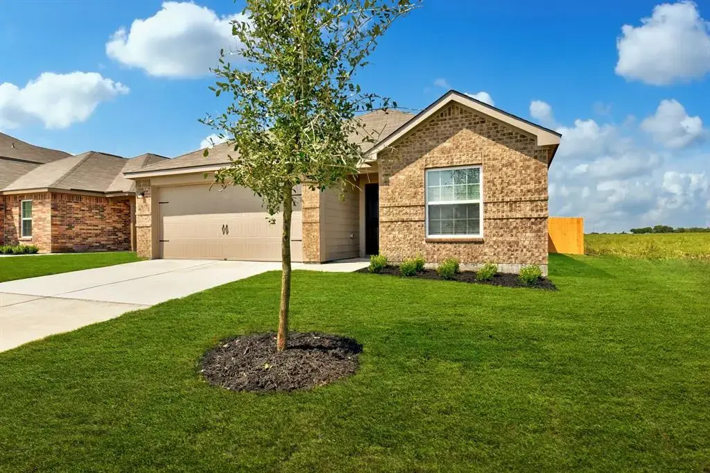 13028 Torrey Reynolds Drive, Elgin