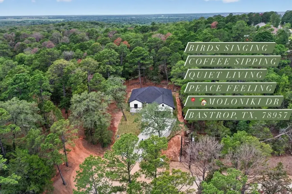 190 Molokini Drive, Bastrop