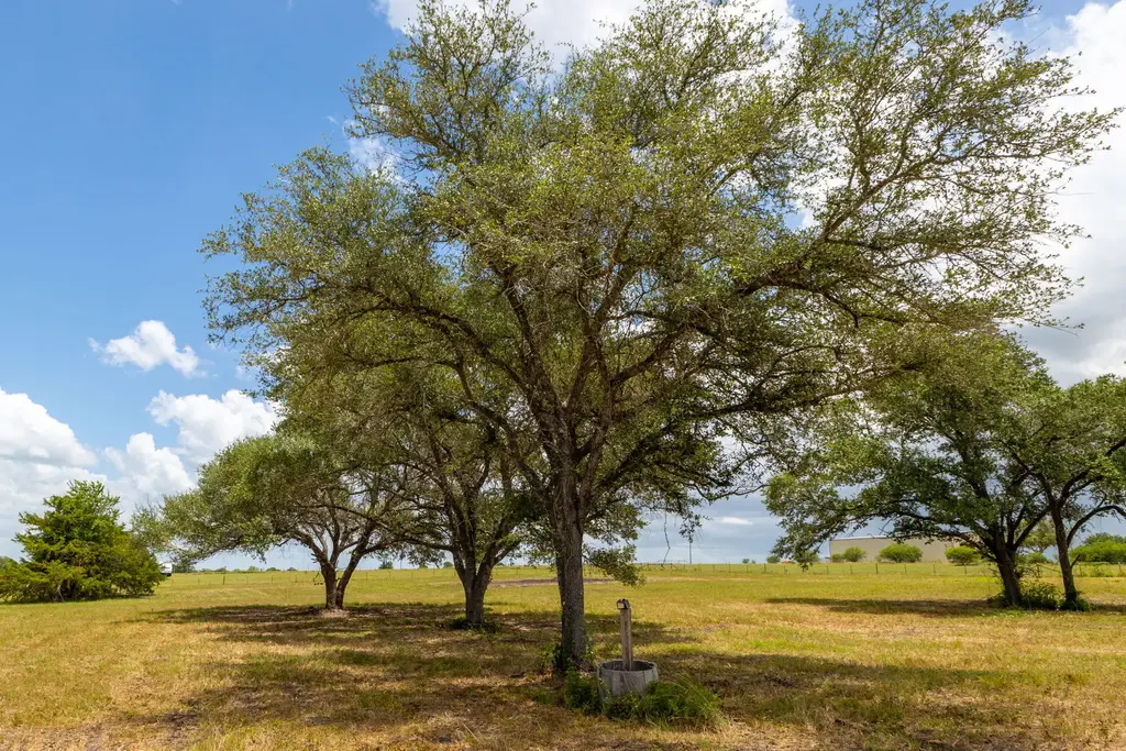 1021 E Old Hallettsville Road, Flatonia