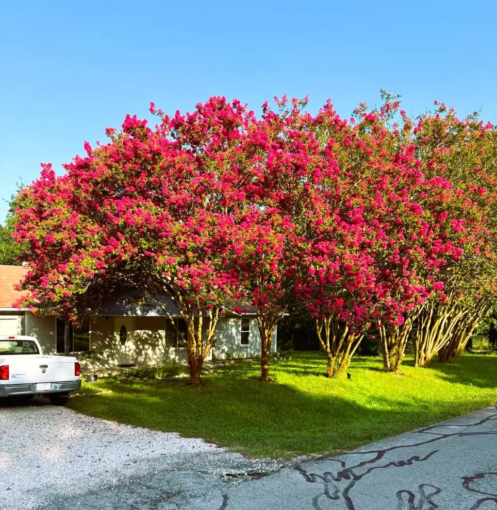 12613 Crystal Creek Drive, Buda