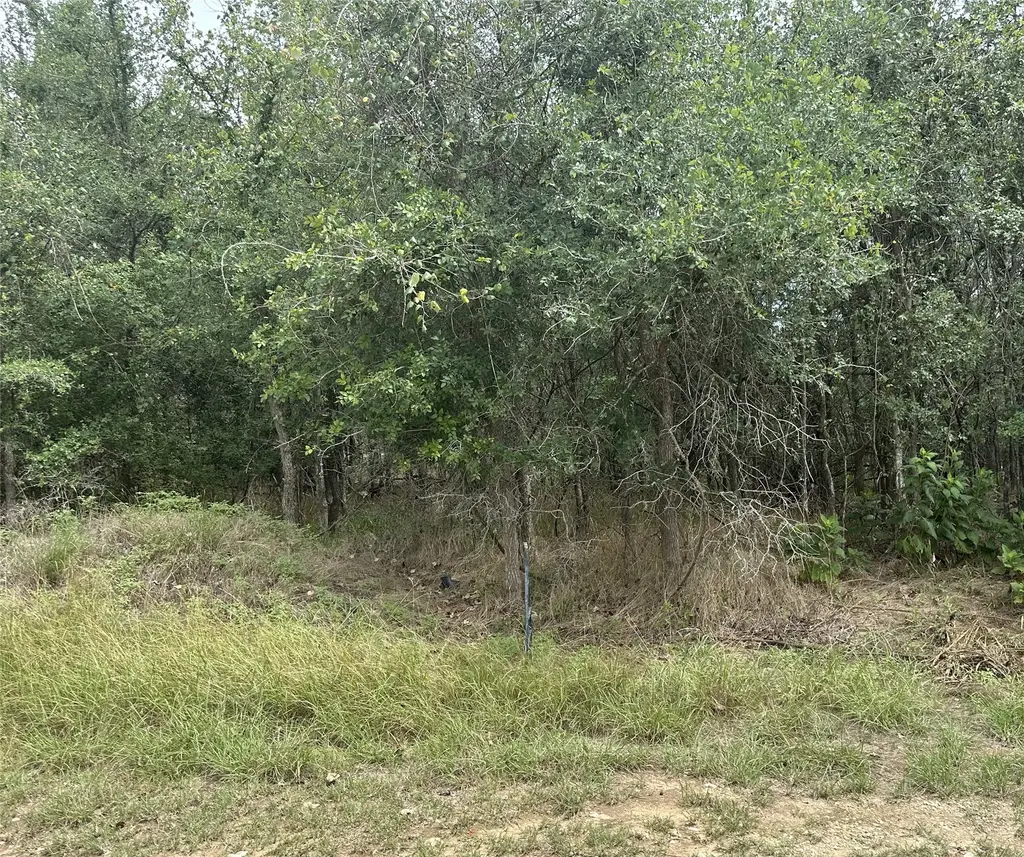 107 Halawa Court, Bastrop