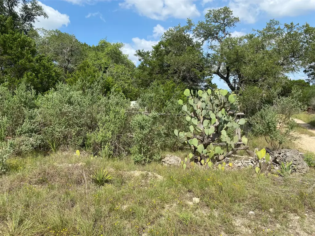Tbd Oak Meadow Lot #35 Lane, Wimberley