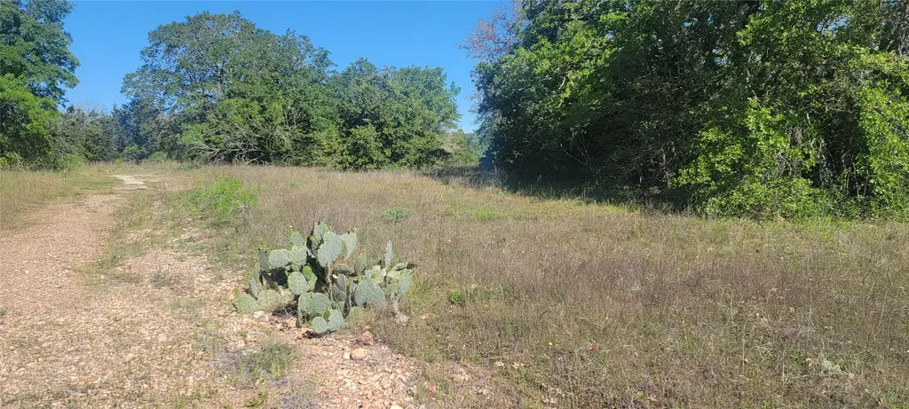 156 Lone Star Circle, Bastrop