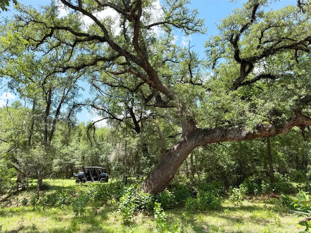 Fm 2239, Paige