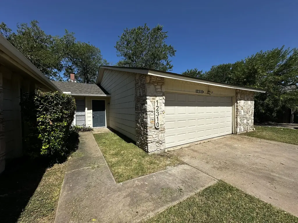 12310 Willow Wild Drive, Austin