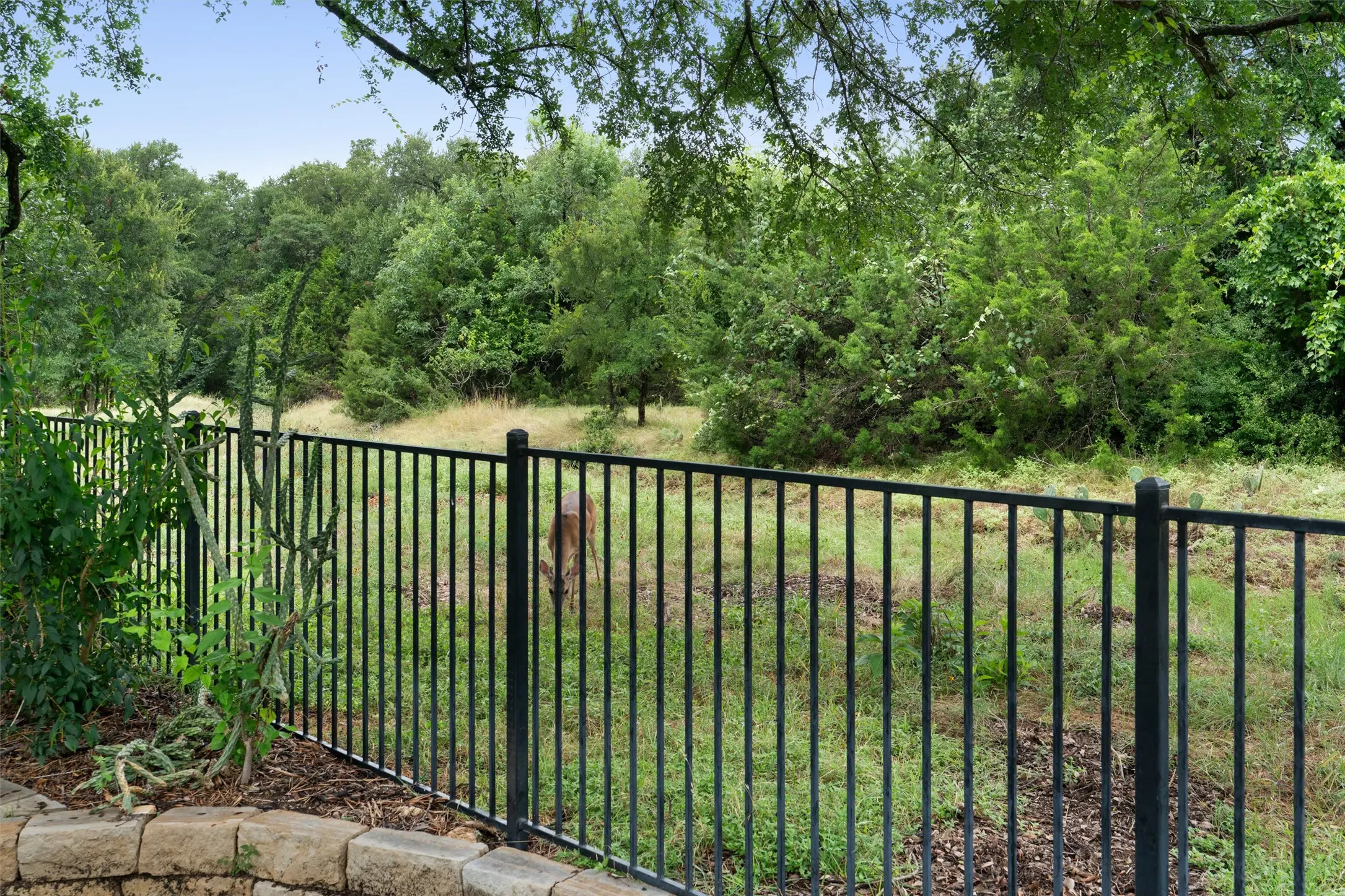 Photo of Listing #6247498