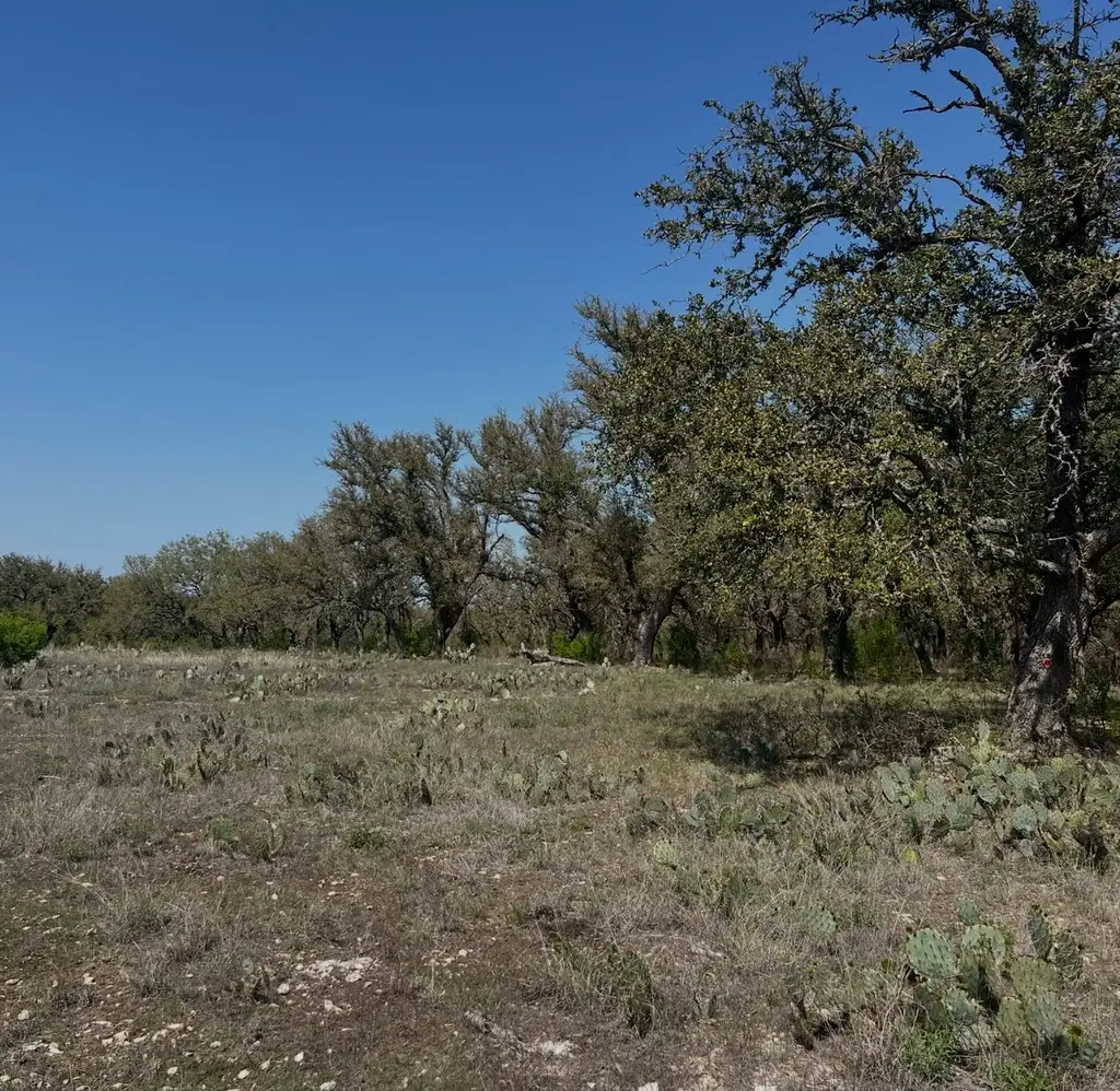 Lot 42 Waterbuck Way, Lampasas