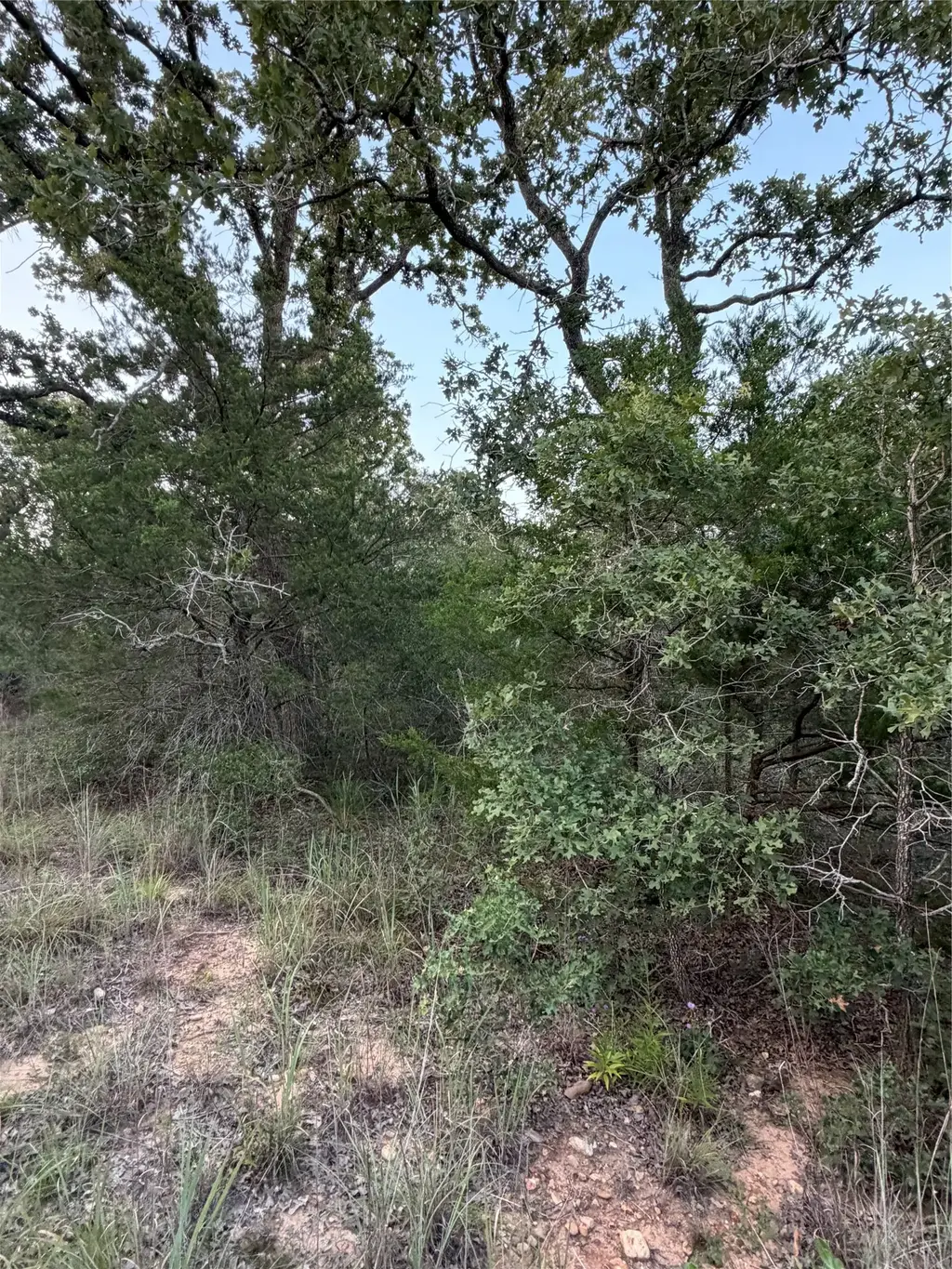 Lot 4 Spruce Street, Paige