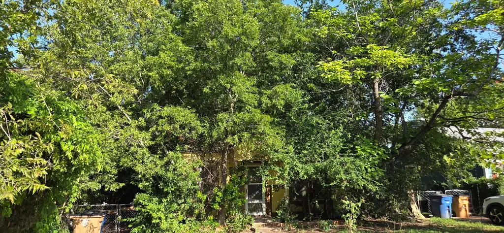 5309 Martin Avenue, Austin