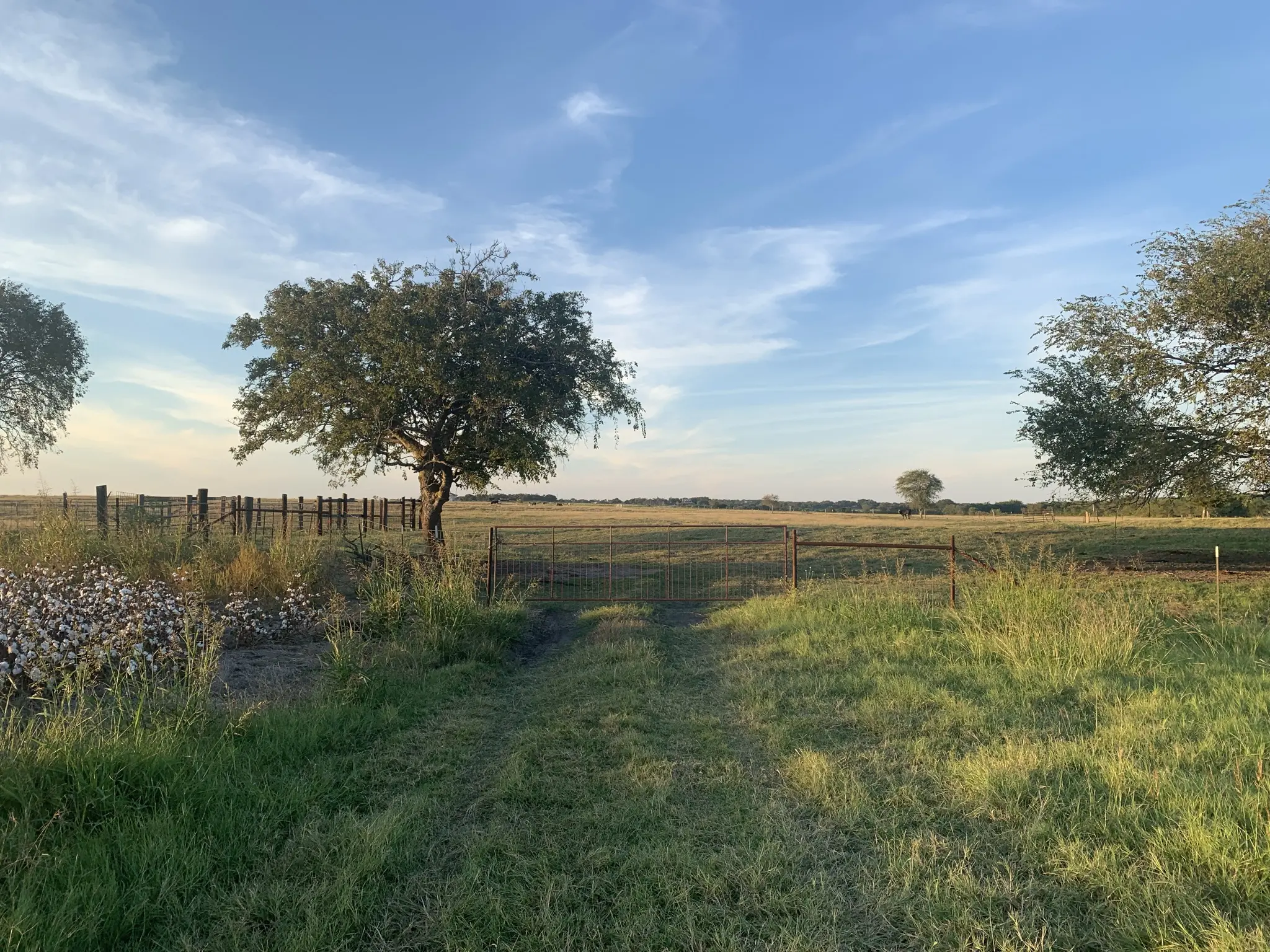 Photo of Listing #8876975