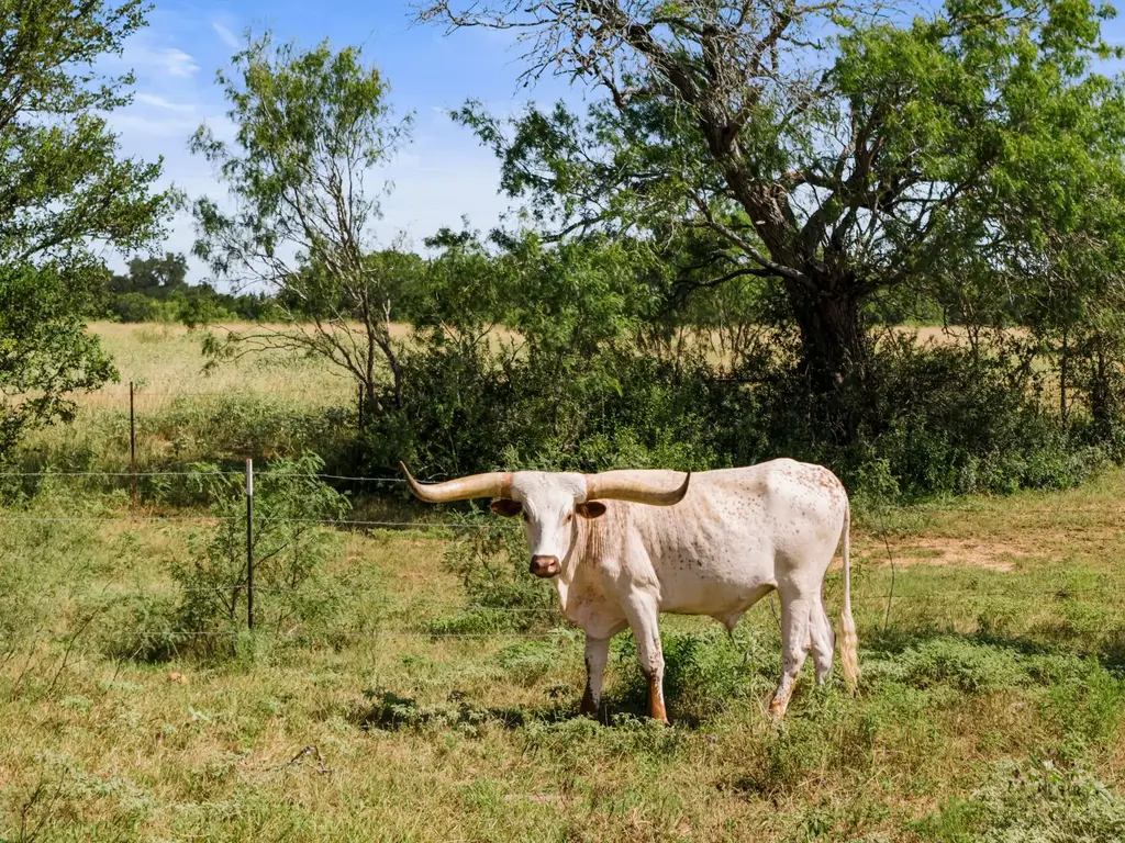 625 Callihan Road, Luling