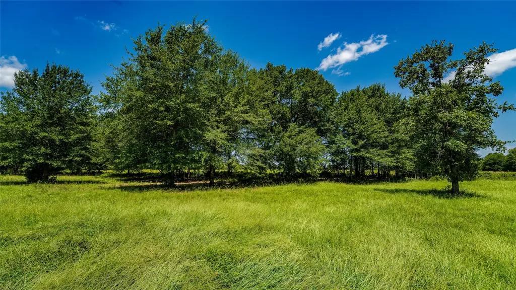 Tbd Cr 357, Gause