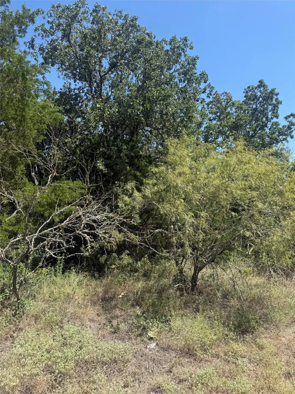 Tbd Blanket Flower Dr Lot 18 Drive, Bastrop