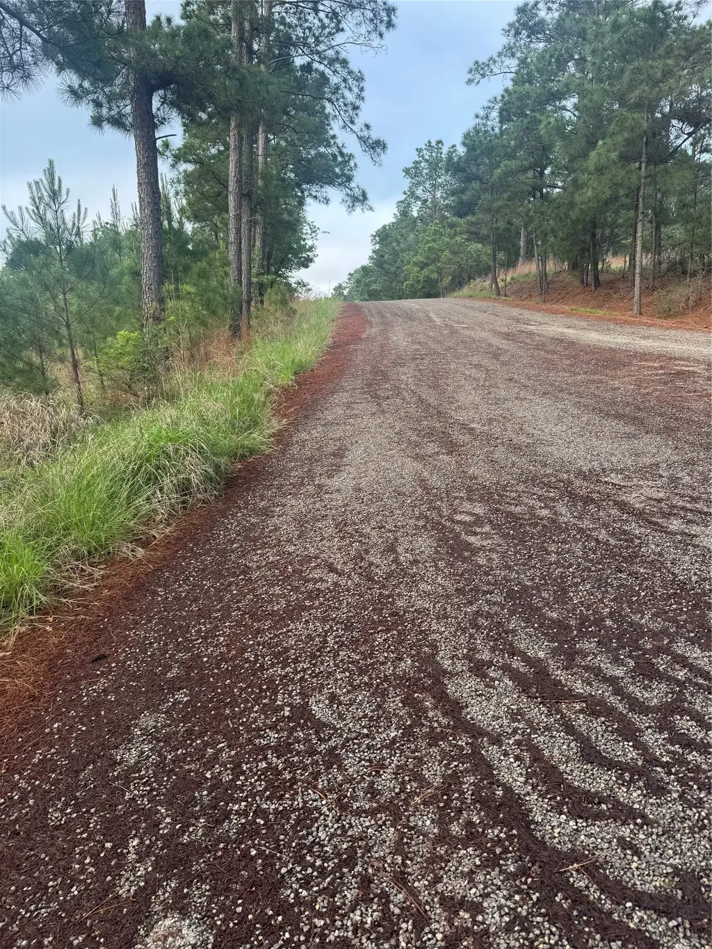 Lots 1490, 1491, 1492 Haleakala, Bastrop