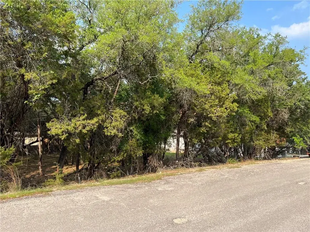 21212 Santa Rosa Avenue, Lago Vista
