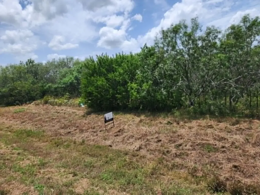 Fm 466 Street, Cost