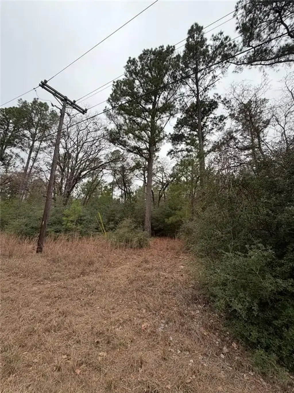 Makaha Drive, Bastrop