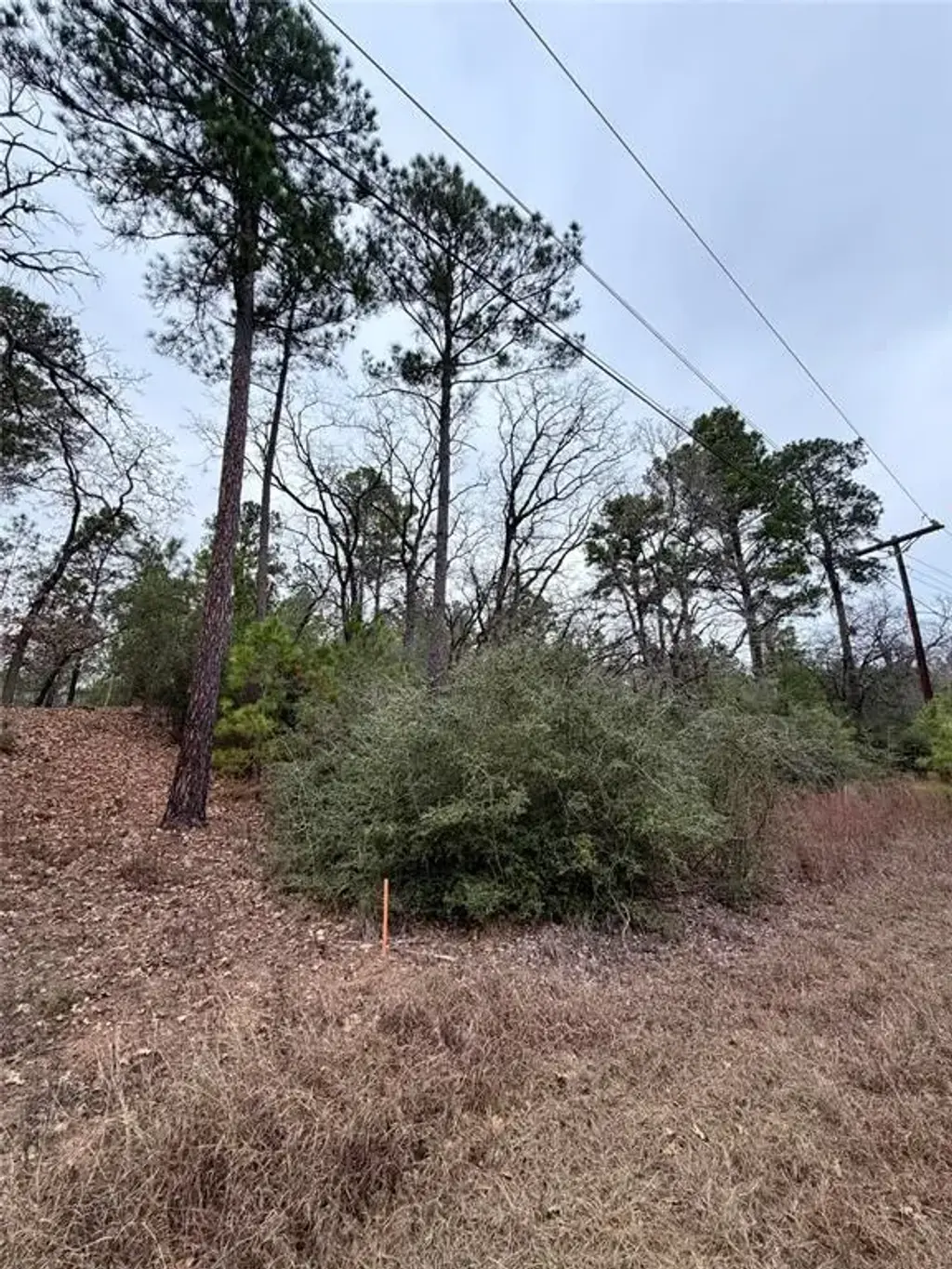 N/A, Bastrop