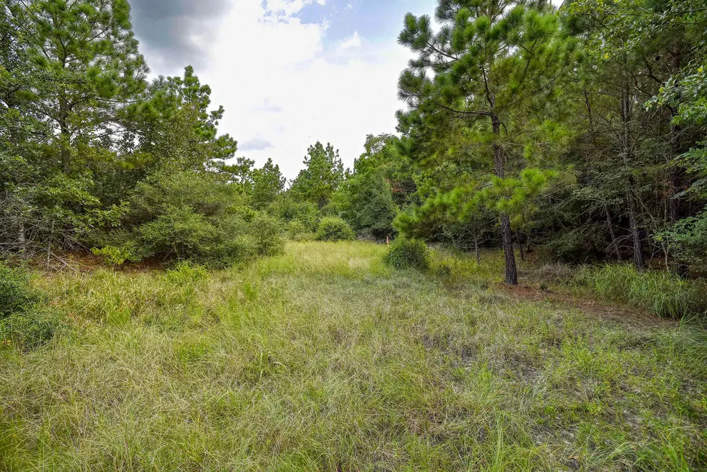 Tbd Kipahulu Drive 2, Bastrop