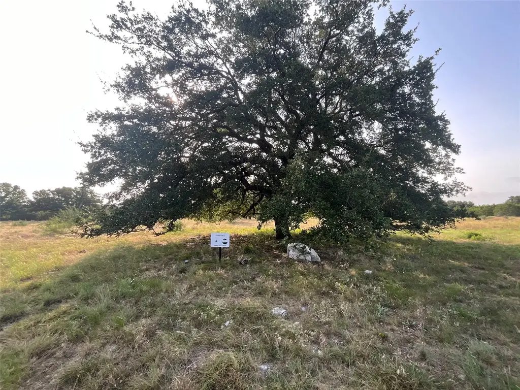 N/A, San Saba