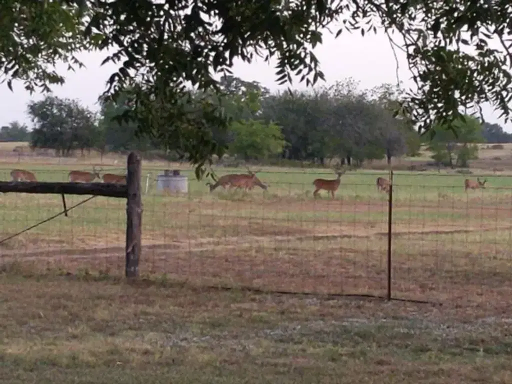 10905 S. Fm 1915 Fm 1915 Highway, Buckholts
