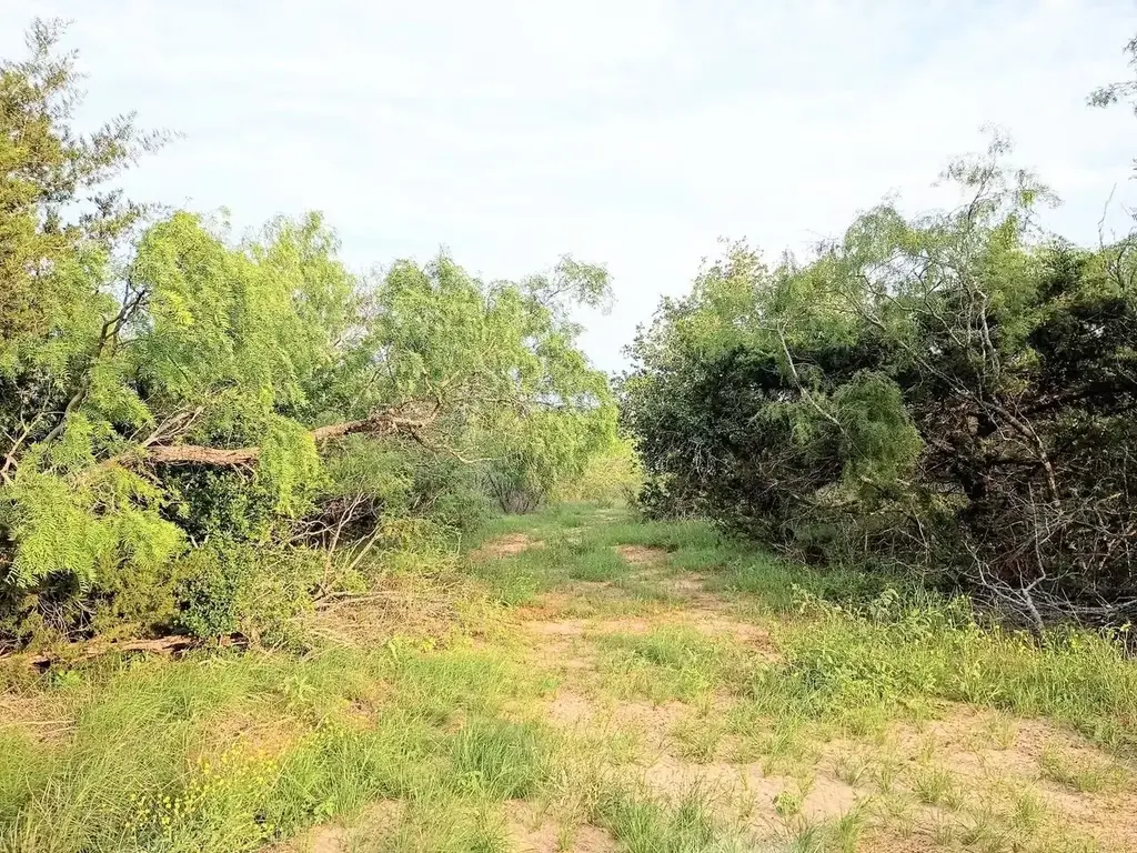Tbd Mesquite Drive, Cedar Creek