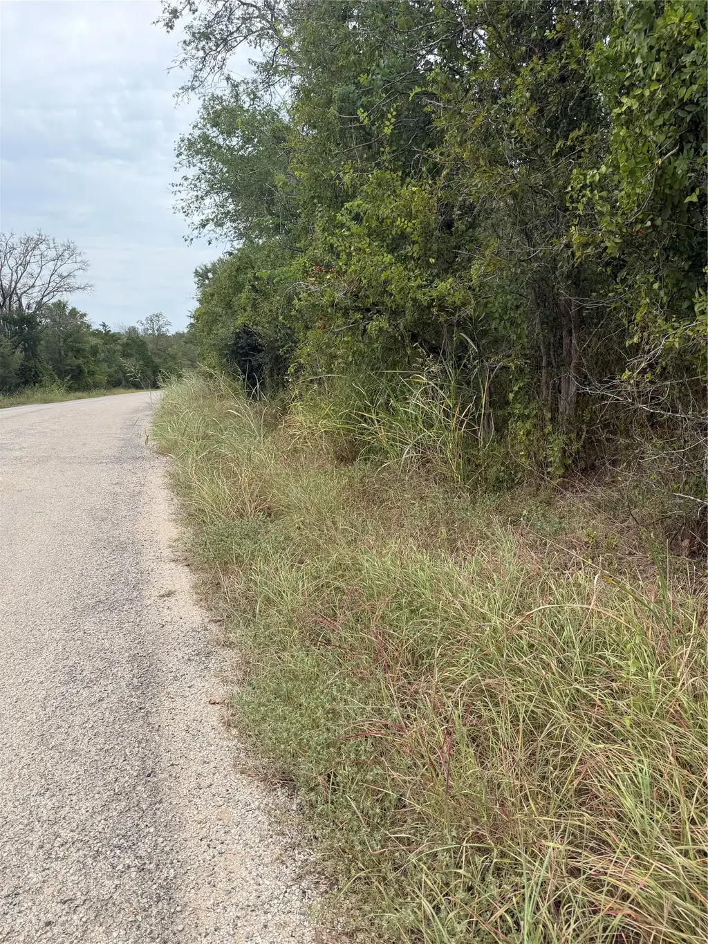 Lots 451, 452, 453 Heleakala Drive, Bastrop