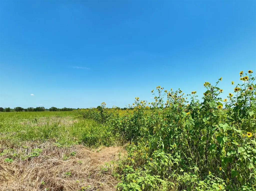 Lot 2 Cr 142 Road, Cameron