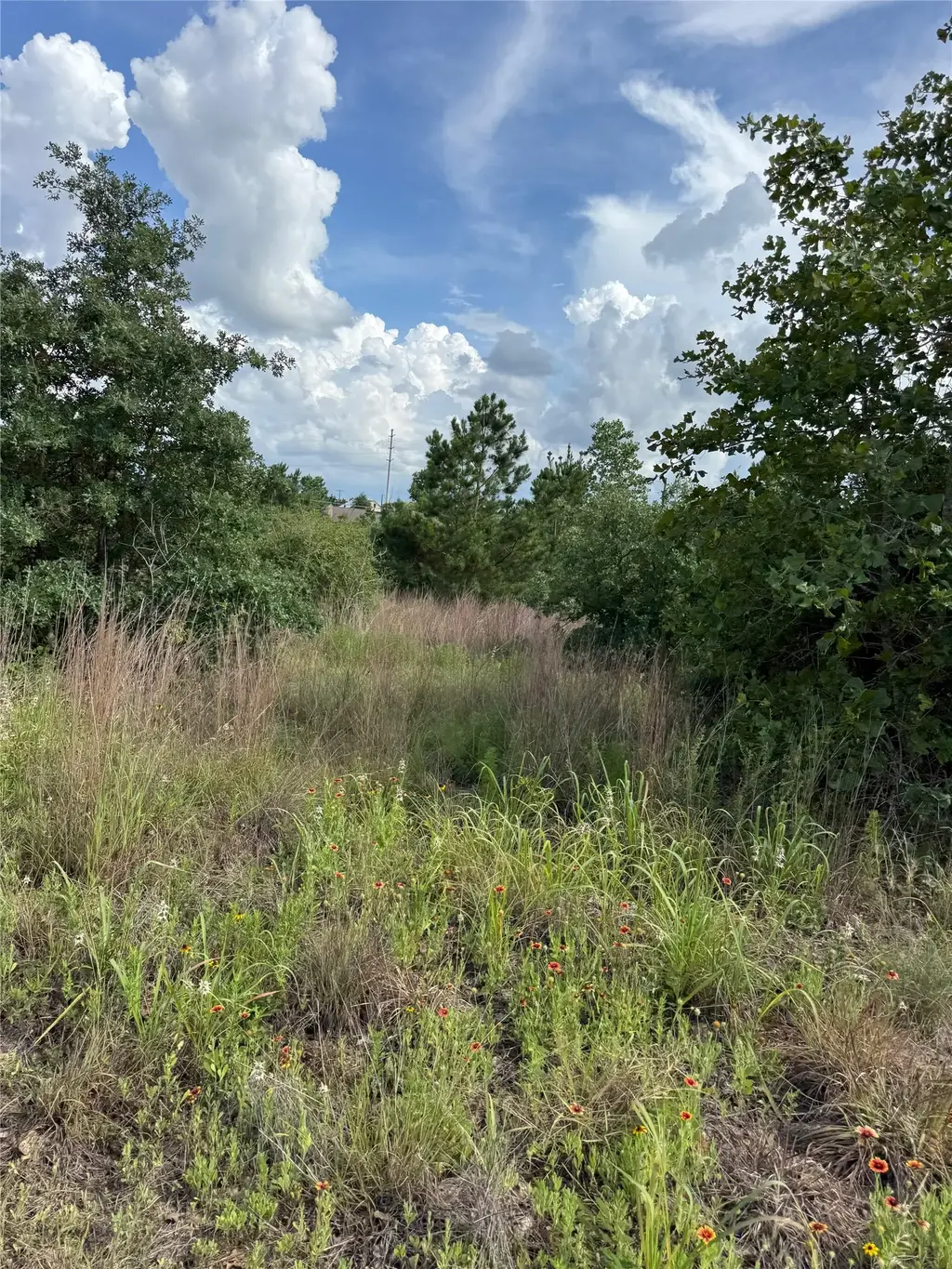 Lots 89-90 Pintail Lane, Bastrop