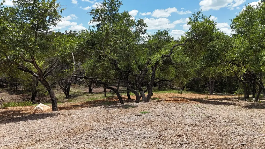 1106 Larkhall Drive, Spicewood