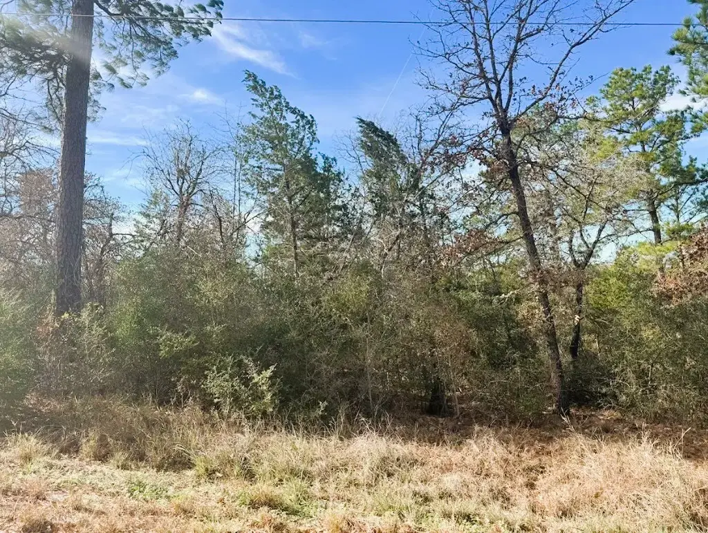 106 Olomana Court, Bastrop