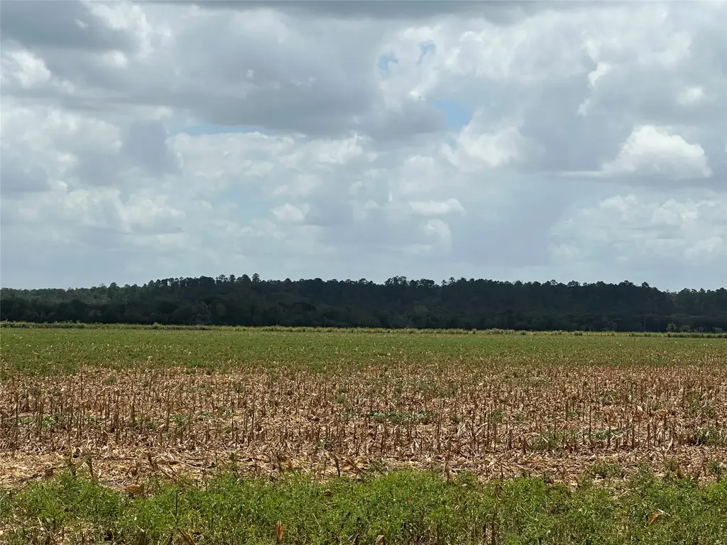 Rabbs Prairie Road, La Grange