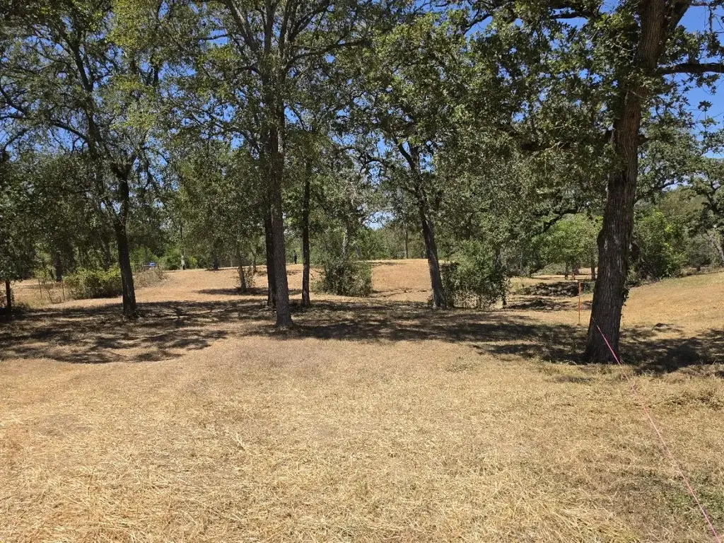 183 Wilbarger Cove, Elgin