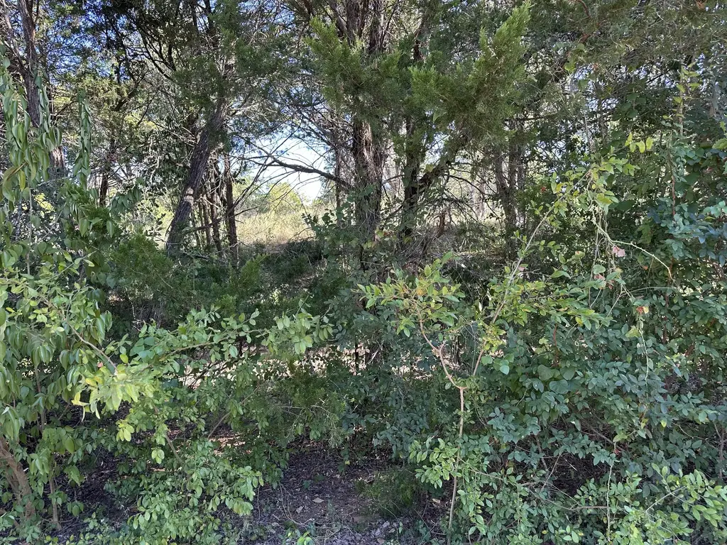 Lot 9 Robin Run, Bastrop