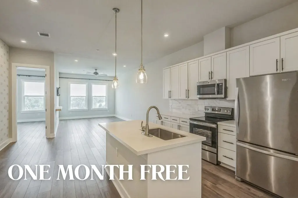 4507 E Martin Luther King Jr Boulevard 133, Austin