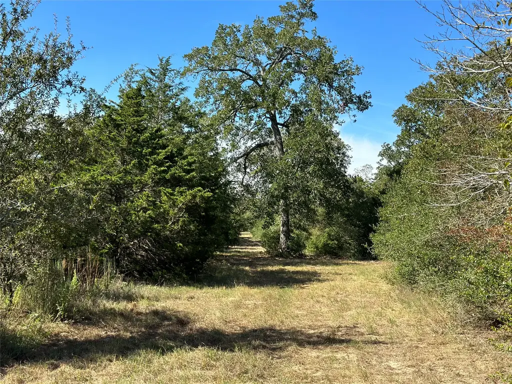 105 Colony Line Trail, Dale