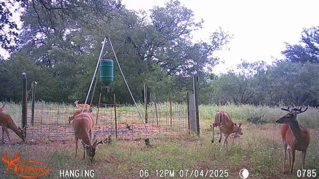 Tbd Fm 3023, Goldthwaite
