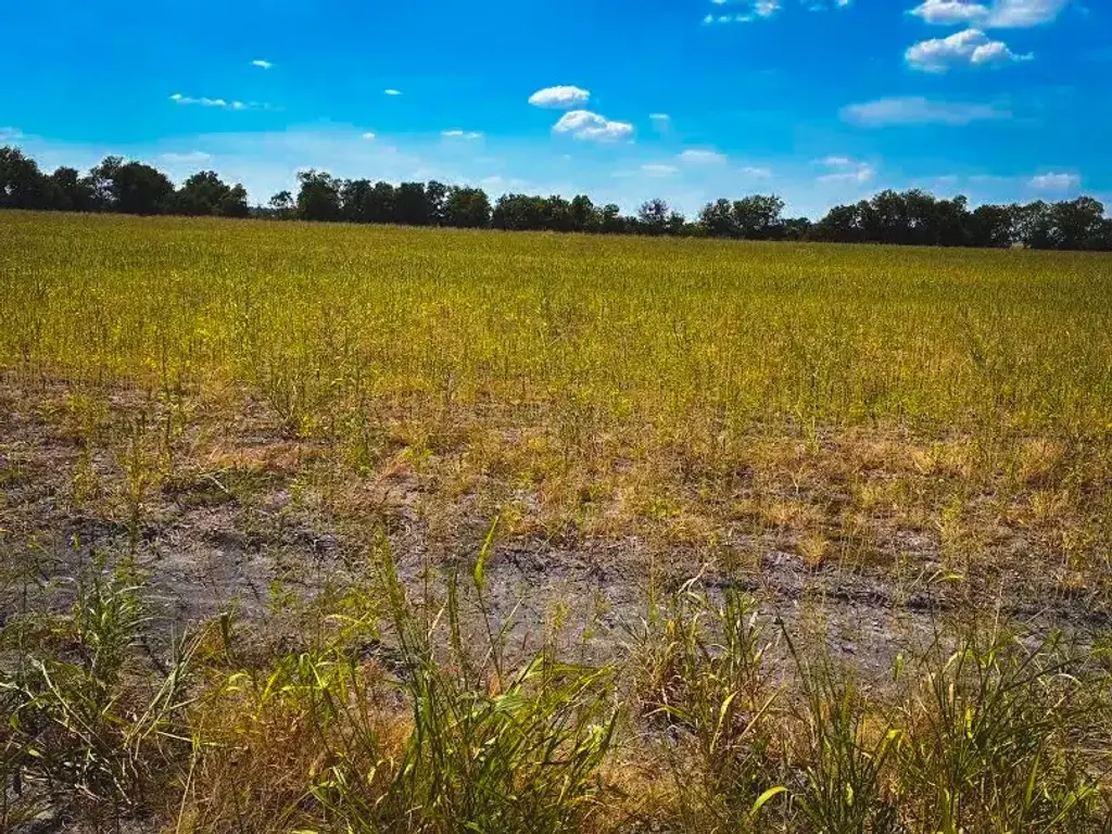 Cr 3061 Lot 2 Highway, Thorndale