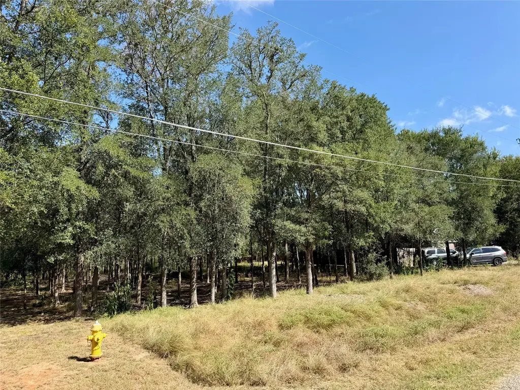 208 Waipahoehoe Drive, Bastrop