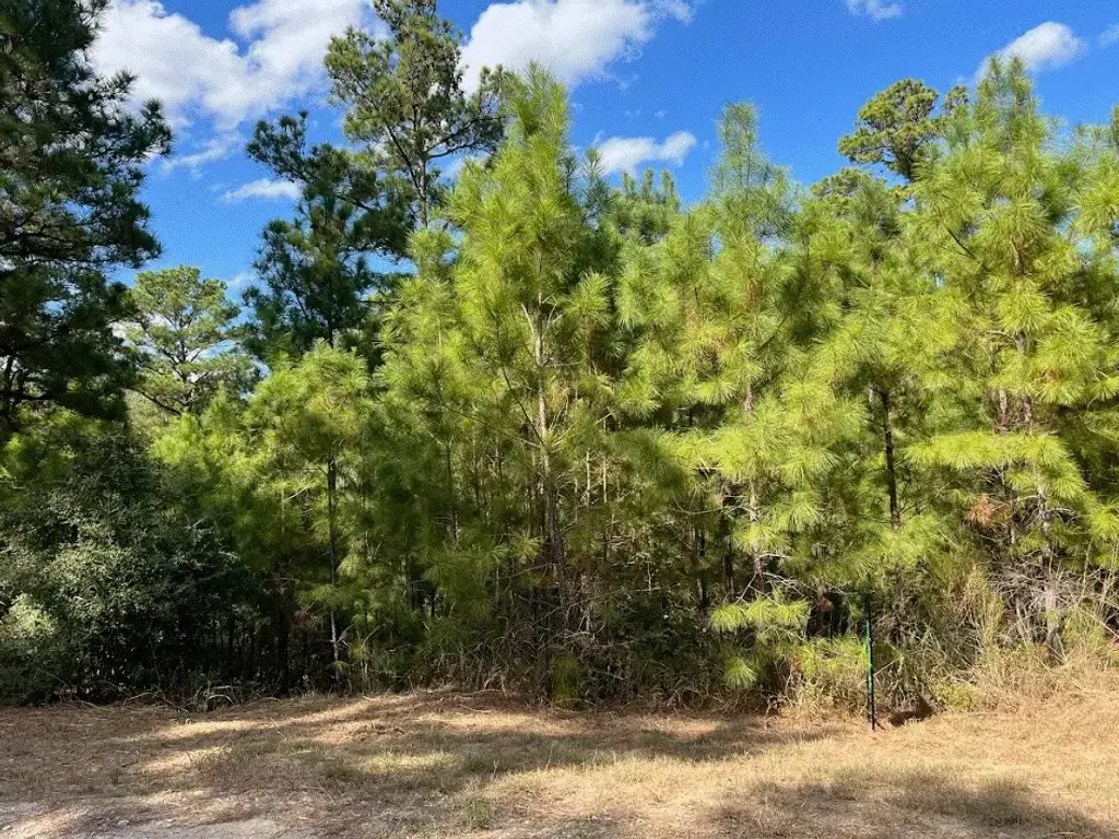 Lot 986 Kailua L Lane, Bastrop