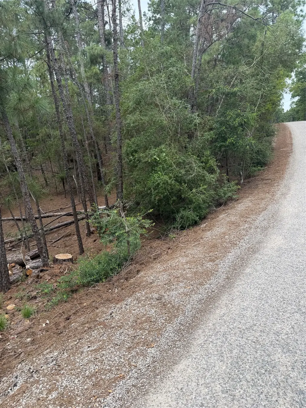 Lots 213 And 214 Hekili Drive, Bastrop