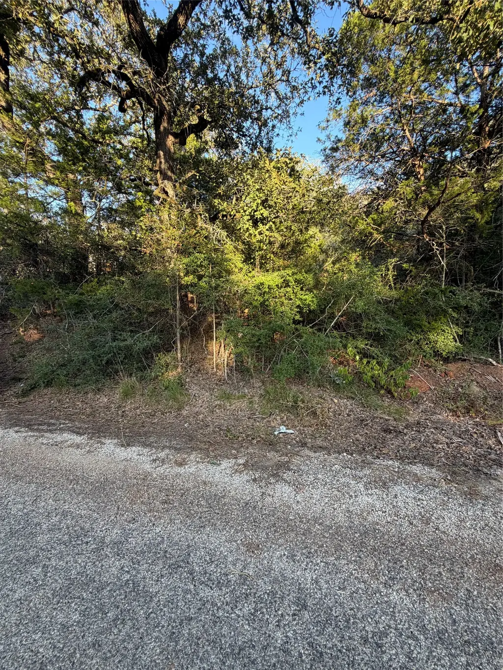 Lot 194 Kaelepulu Drive, Bastrop